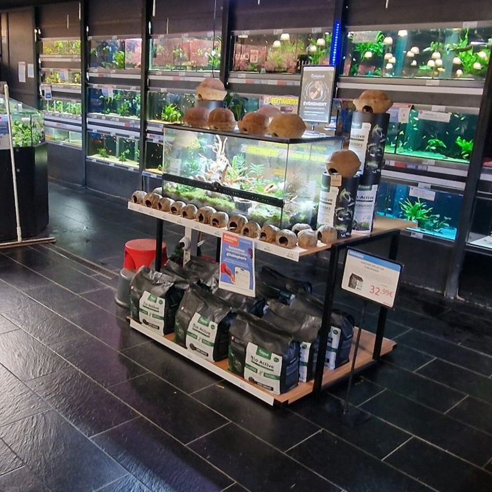 Présentoir magasin Eublepharis