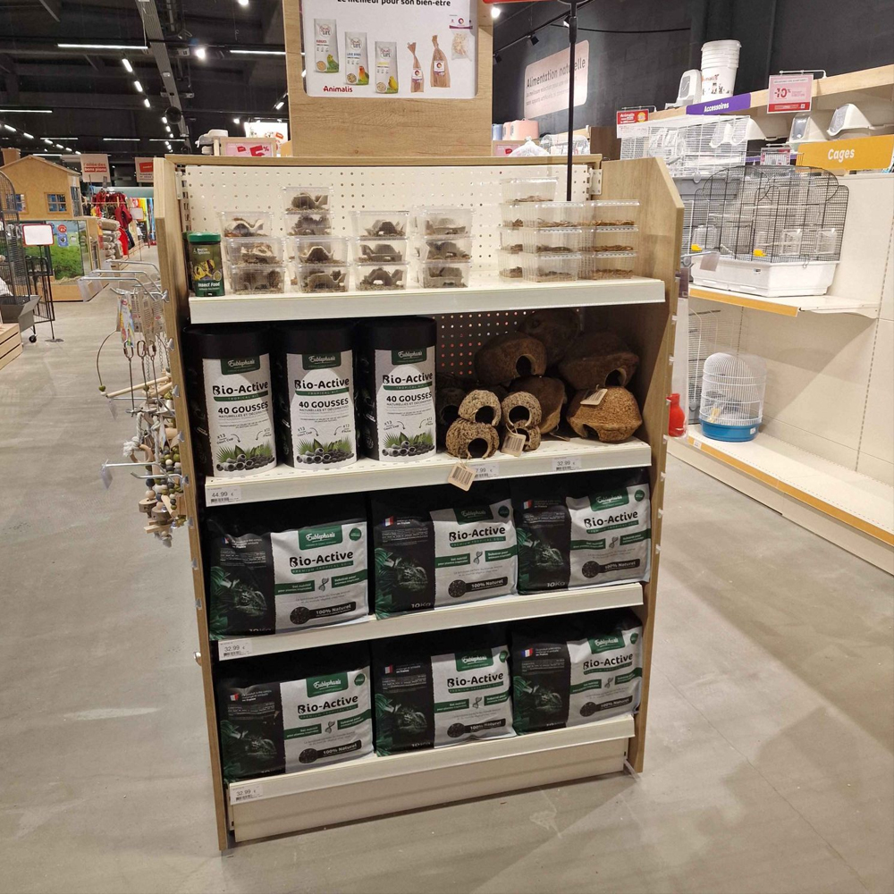 Présentoir magasin Eublepharis