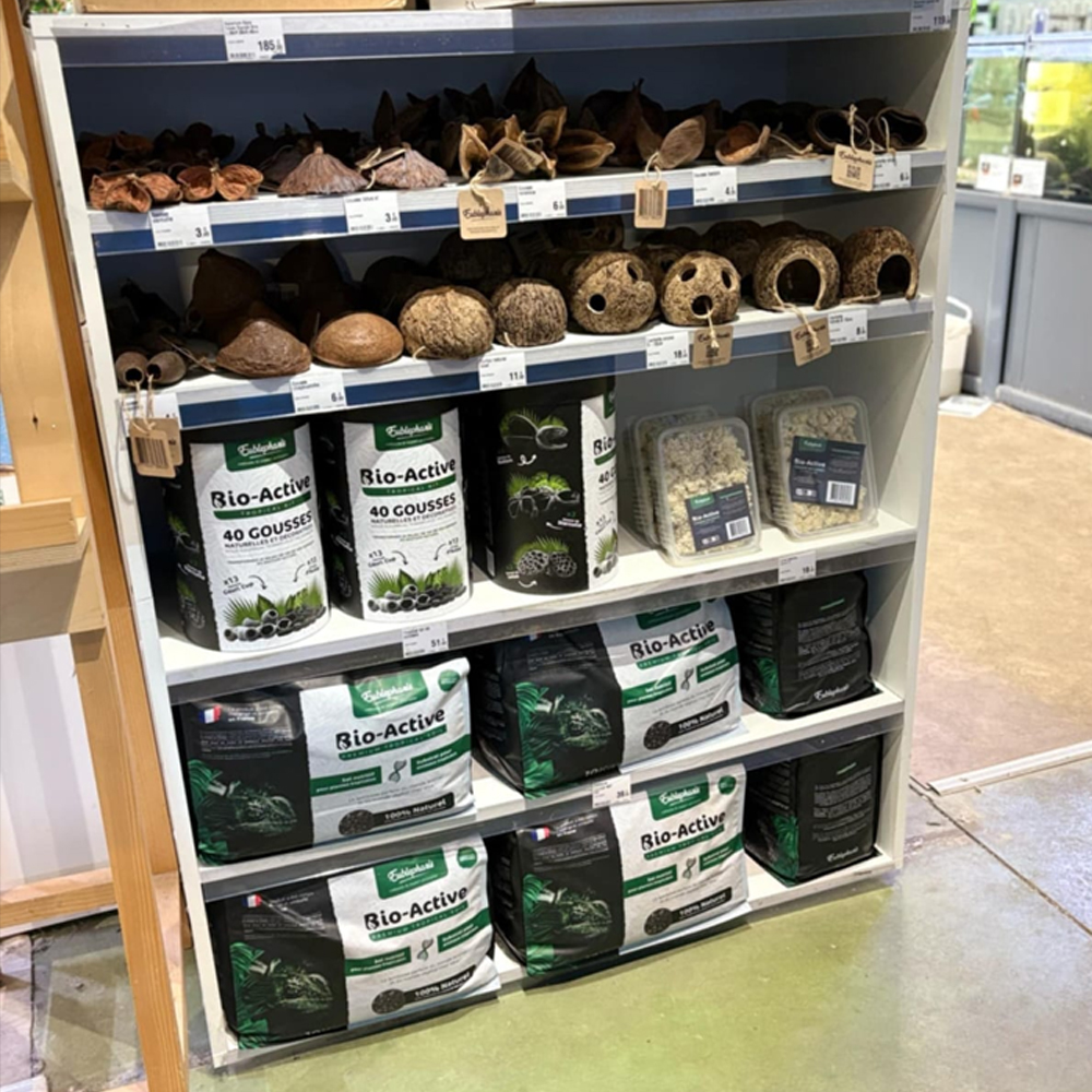 Présentoir magasin Eublepharis