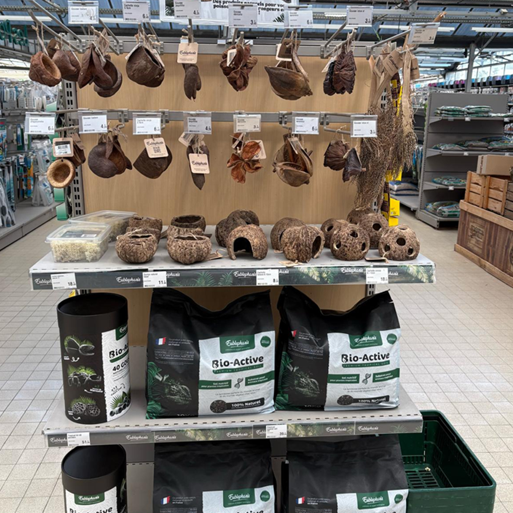 Présentoir magasin Eublepharis