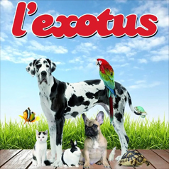exotus