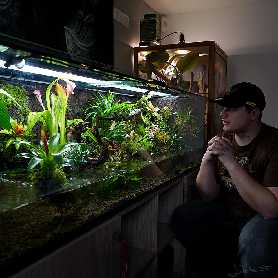 Paludarium Eublepharis