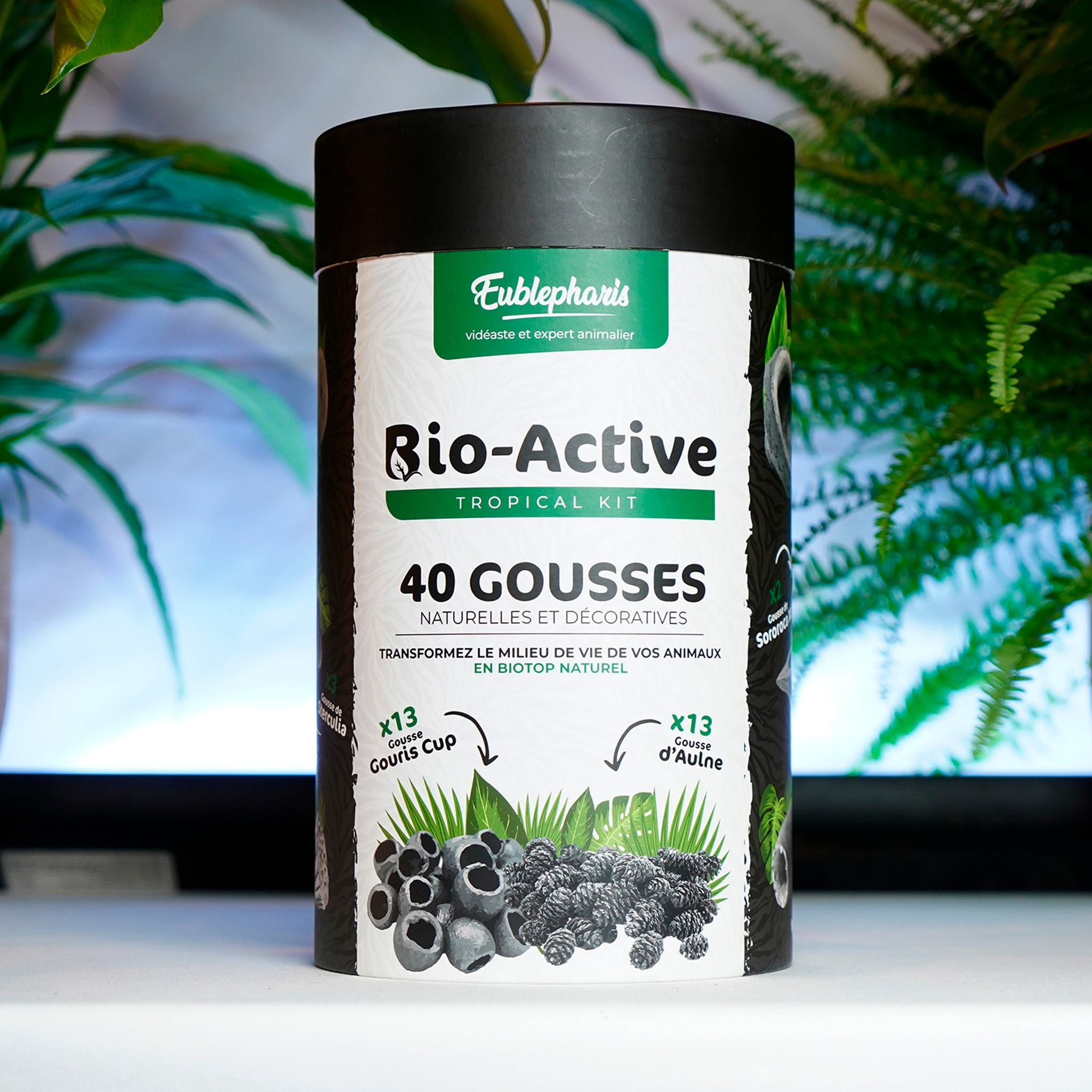 Produit Eublepharis